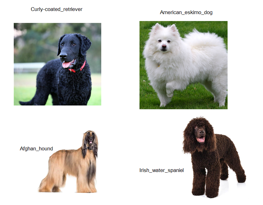 Dog References